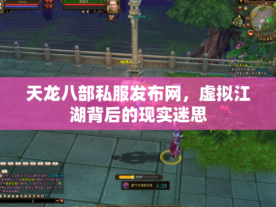 天龙八部私服发布网，虚拟江湖背后的现实迷思