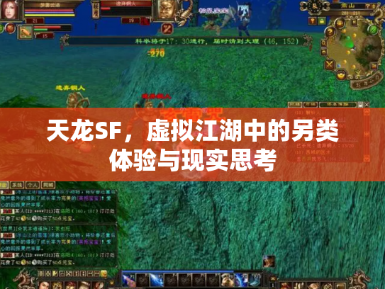 天龙SF，虚拟江湖中的另类体验与现实思考