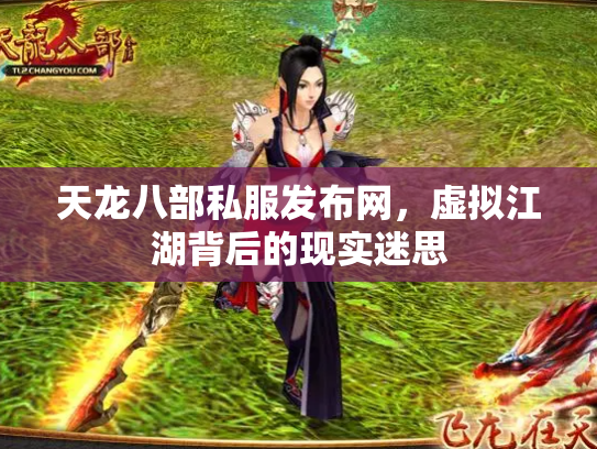 天龙八部私服发布网，虚拟江湖背后的现实迷思
