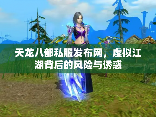 天龙八部私服发布网，虚拟江湖背后的风险与诱惑
