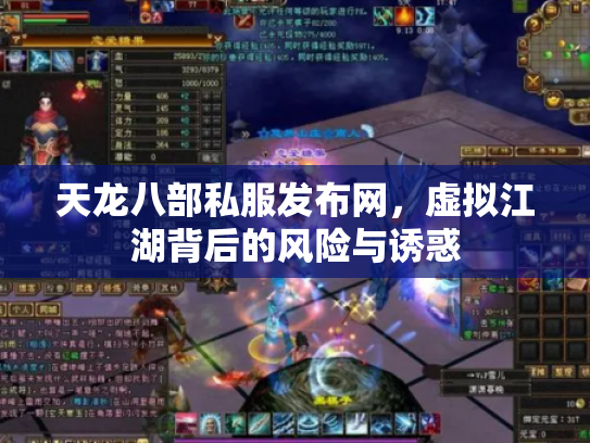 天龙八部私服发布网，虚拟江湖背后的风险与诱惑