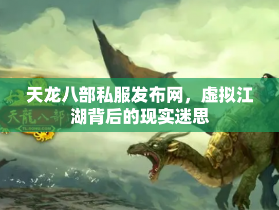 天龙八部私服发布网，虚拟江湖背后的现实迷思