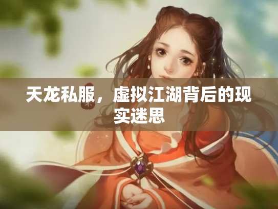 天龙私服，虚拟江湖背后的现实迷思