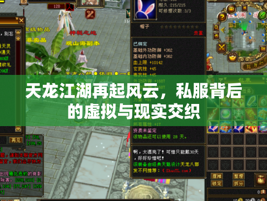 天龙江湖再起风云，私服背后的虚拟与现实交织