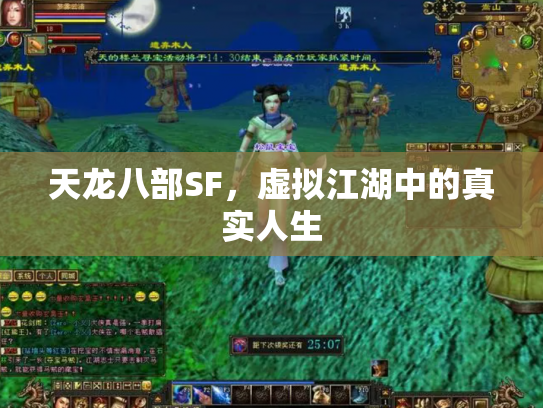 天龙八部SF，虚拟江湖中的真实人生