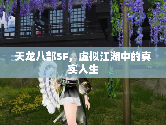 天龙八部SF，虚拟江湖中的真实人生