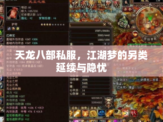 天龙八部私服，江湖梦的另类延续与隐忧