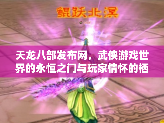 天龙八部发布网，武侠游戏世界的永恒之门与玩家情怀的栖息地
