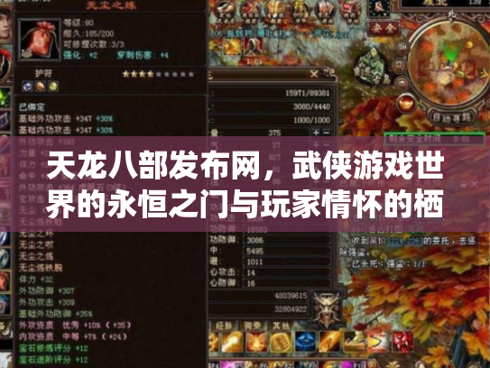 天龙八部发布网，武侠游戏世界的永恒之门与玩家情怀的栖息地
