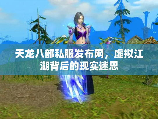 天龙八部私服发布网，虚拟江湖背后的现实迷思