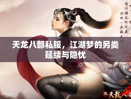 天龙八部私服，江湖梦的另类延续与隐忧