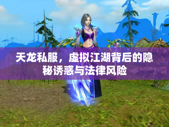 天龙私服，虚拟江湖背后的隐秘诱惑与法律风险