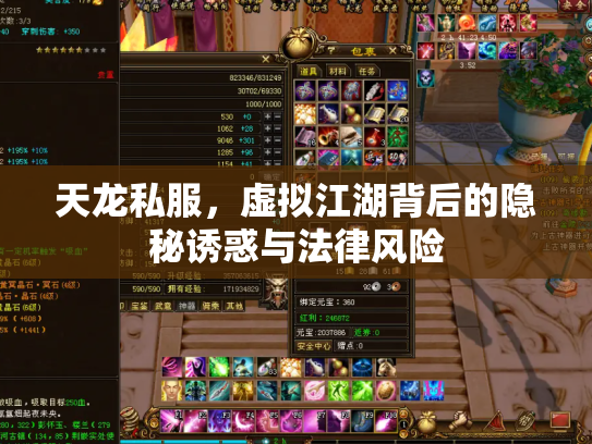 天龙私服，虚拟江湖背后的隐秘诱惑与法律风险