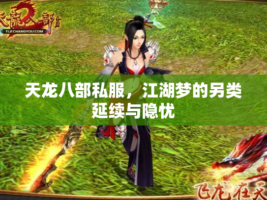天龙八部私服，江湖梦的另类延续与隐忧