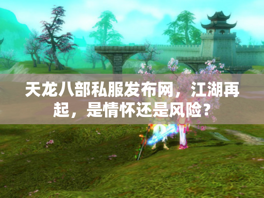 天龙八部私服发布网，江湖再起，是情怀还是风险？