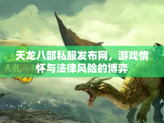 天龙八部私服发布网，游戏情怀与法律风险的博弈