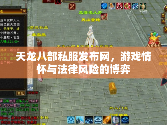 天龙八部私服发布网，游戏情怀与法律风险的博弈