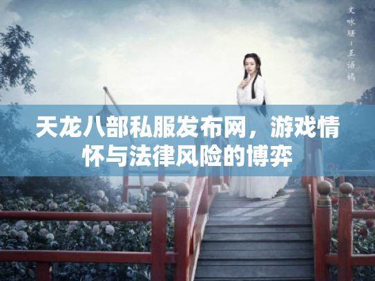 天龙八部私服发布网，游戏情怀与法律风险的博弈