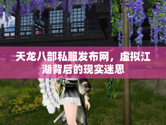 天龙八部私服发布网，虚拟江湖背后的现实迷思
