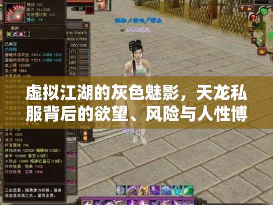 虚拟江湖的灰色魅影，天龙私服背后的欲望、风险与人性博弈