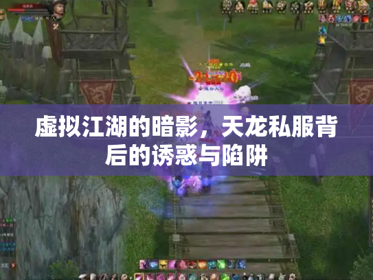 虚拟江湖的暗影，天龙私服背后的诱惑与陷阱