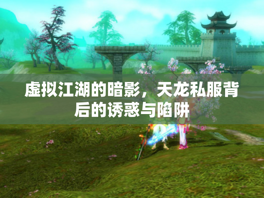 虚拟江湖的暗影，天龙私服背后的诱惑与陷阱
