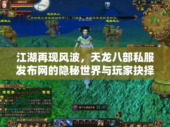 江湖再现风波，天龙八部私服发布网的隐秘世界与玩家抉择