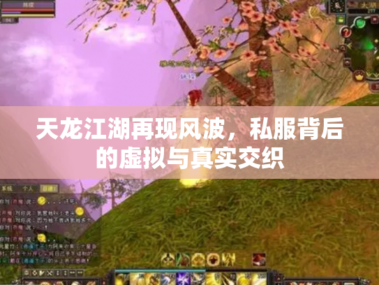 天龙江湖再现风波，私服背后的虚拟与真实交织