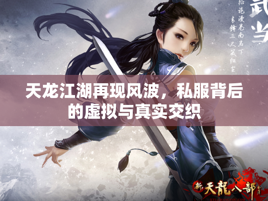 天龙江湖再现风波，私服背后的虚拟与真实交织