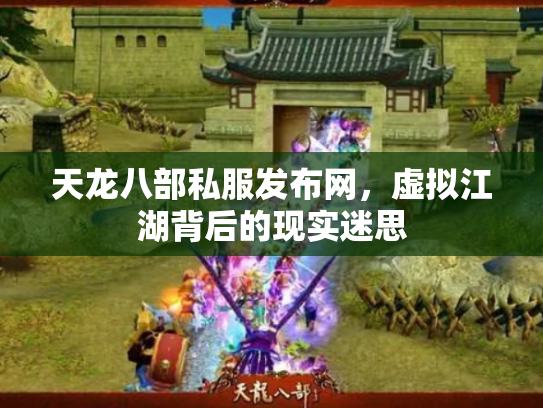 天龙八部私服发布网，虚拟江湖背后的现实迷思
