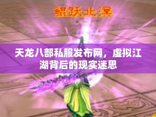天龙八部私服发布网，虚拟江湖背后的现实迷思