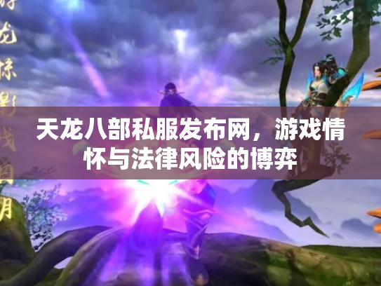 天龙八部私服发布网，游戏情怀与法律风险的博弈