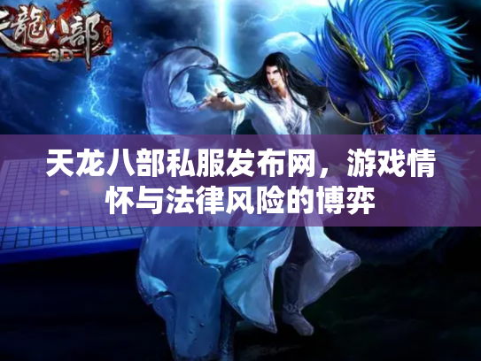 天龙八部私服发布网，游戏情怀与法律风险的博弈