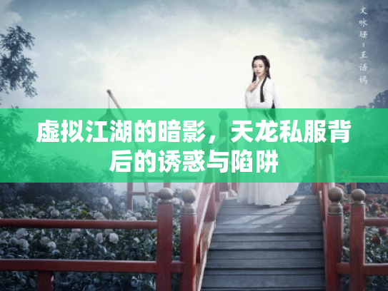 虚拟江湖的暗影，天龙私服背后的诱惑与陷阱