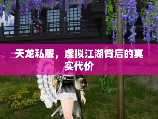 天龙私服，虚拟江湖背后的真实代价