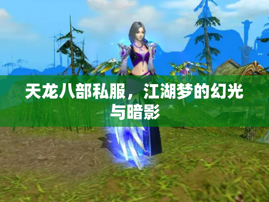 天龙八部私服，江湖梦的幻光与暗影