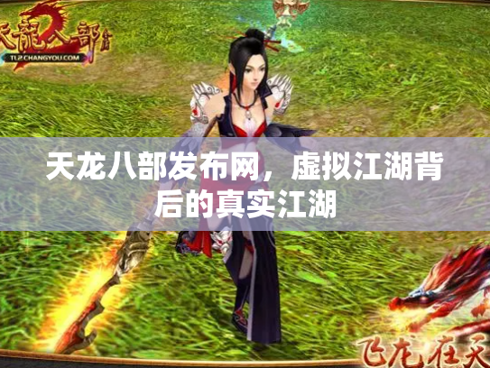 天龙八部发布网，虚拟江湖背后的真实江湖