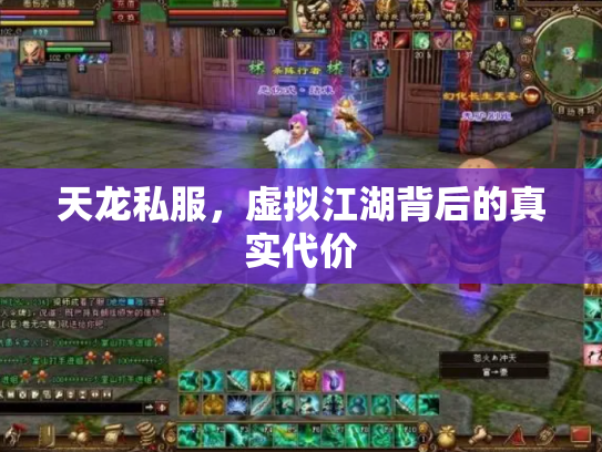天龙私服，虚拟江湖背后的真实代价