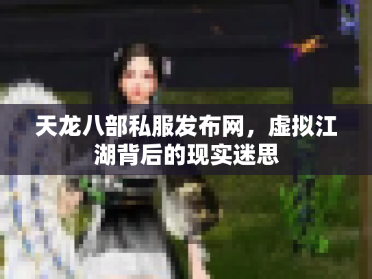 天龙八部私服发布网，虚拟江湖背后的现实迷思