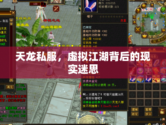 天龙私服，虚拟江湖背后的现实迷思