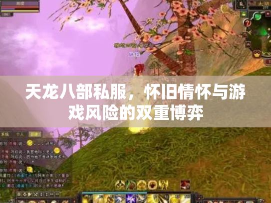 天龙八部私服，怀旧情怀与游戏风险的双重博弈