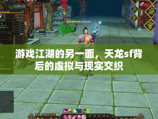 游戏江湖的另一面，天龙sf背后的虚拟与现实交织
