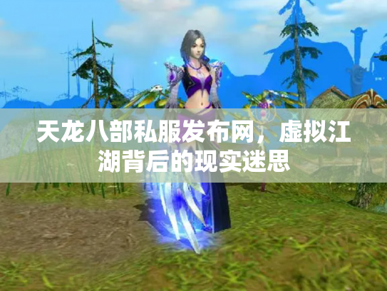 天龙八部私服发布网，虚拟江湖背后的现实迷思
