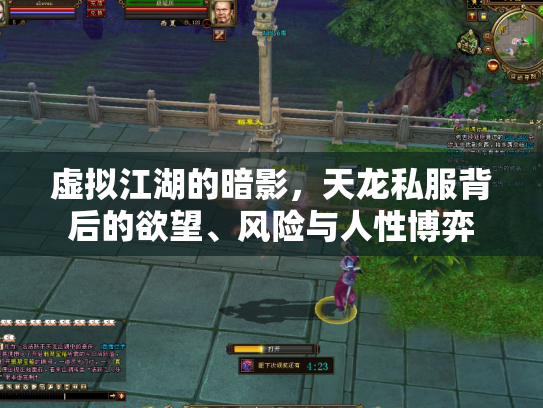 虚拟江湖的暗影，天龙私服背后的欲望、风险与人性博弈
