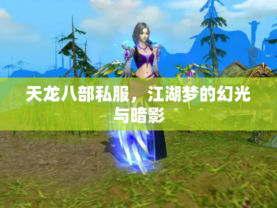 天龙八部私服，江湖梦的幻光与暗影
