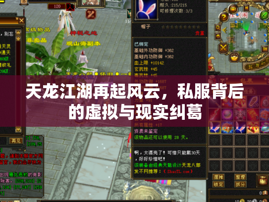 天龙江湖再起风云，私服背后的虚拟与现实纠葛