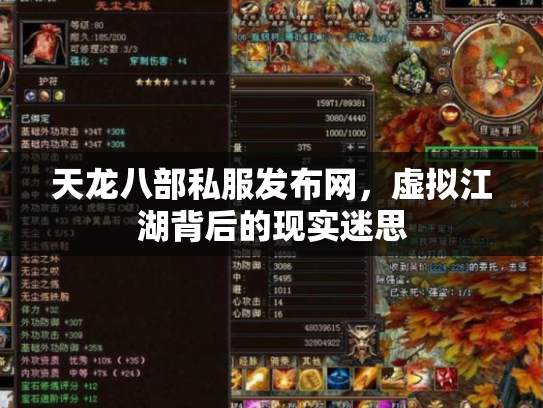 天龙八部私服发布网，虚拟江湖背后的现实迷思