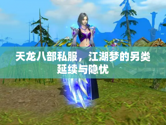 天龙八部私服，江湖梦的另类延续与隐忧