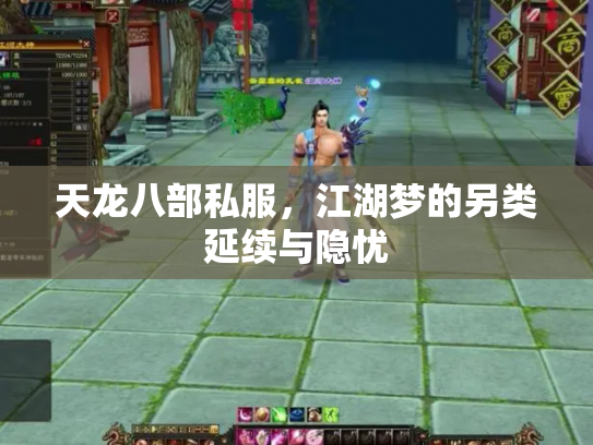 天龙八部私服，江湖梦的另类延续与隐忧