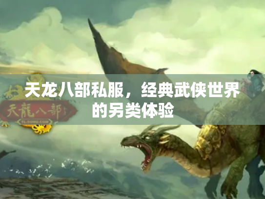 天龙八部私服，经典武侠世界的另类体验